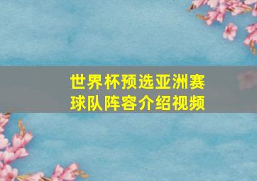 世界杯预选亚洲赛球队阵容介绍视频