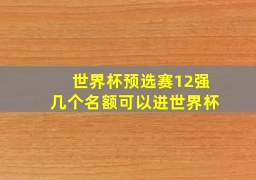 世界杯预选赛12强几个名额可以进世界杯