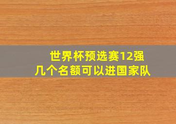 世界杯预选赛12强几个名额可以进国家队