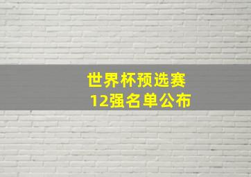 世界杯预选赛12强名单公布