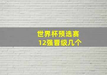 世界杯预选赛12强晋级几个