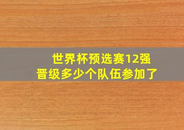 世界杯预选赛12强晋级多少个队伍参加了