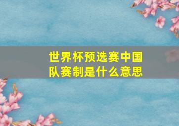 世界杯预选赛中国队赛制是什么意思