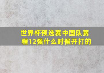 世界杯预选赛中国队赛程12强什么时候开打的