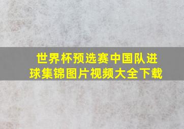 世界杯预选赛中国队进球集锦图片视频大全下载