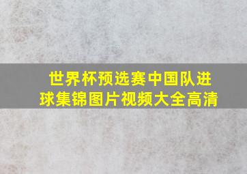 世界杯预选赛中国队进球集锦图片视频大全高清