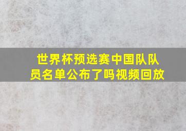 世界杯预选赛中国队队员名单公布了吗视频回放