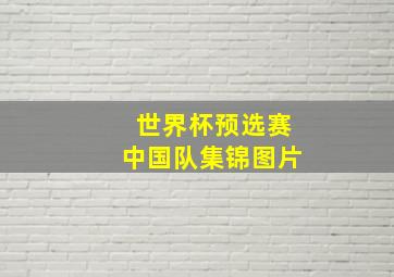 世界杯预选赛中国队集锦图片