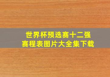 世界杯预选赛十二强赛程表图片大全集下载