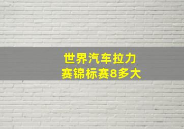 世界汽车拉力赛锦标赛8多大