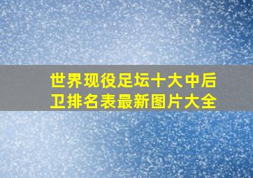 世界现役足坛十大中后卫排名表最新图片大全