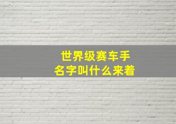 世界级赛车手名字叫什么来着