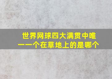 世界网球四大满贯中唯一一个在草地上的是哪个