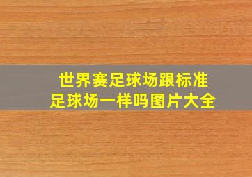 世界赛足球场跟标准足球场一样吗图片大全