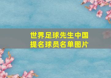 世界足球先生中国提名球员名单图片