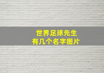 世界足球先生有几个名字图片