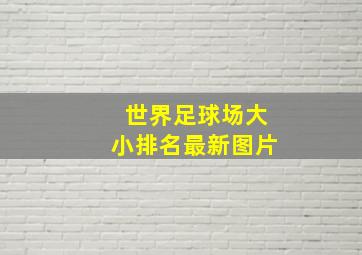 世界足球场大小排名最新图片