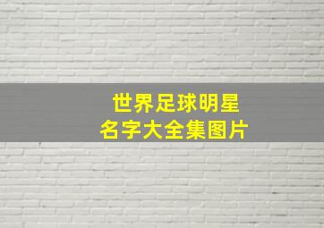 世界足球明星名字大全集图片