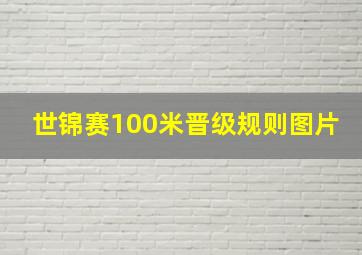 世锦赛100米晋级规则图片