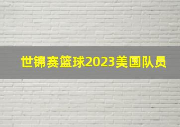 世锦赛篮球2023美国队员