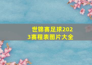 世锦赛足球2023赛程表图片大全