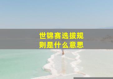 世锦赛选拔规则是什么意思