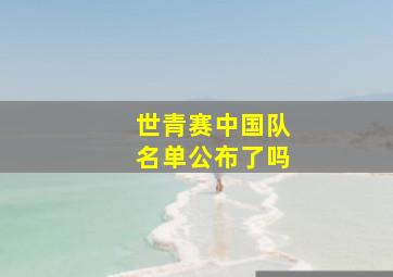 世青赛中国队名单公布了吗