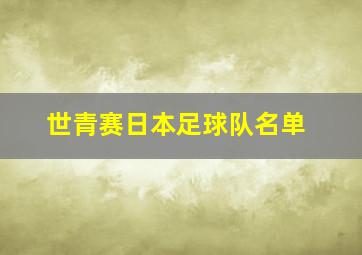 世青赛日本足球队名单