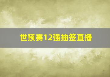 世预赛12强抽签直播