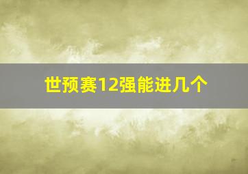 世预赛12强能进几个