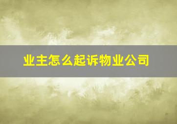 业主怎么起诉物业公司