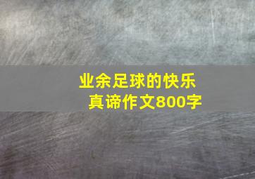 业余足球的快乐真谛作文800字