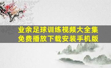 业余足球训练视频大全集免费播放下载安装手机版