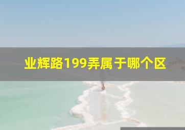 业辉路199弄属于哪个区