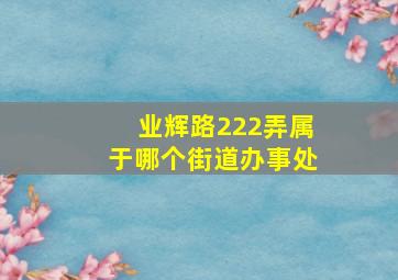 业辉路222弄属于哪个街道办事处