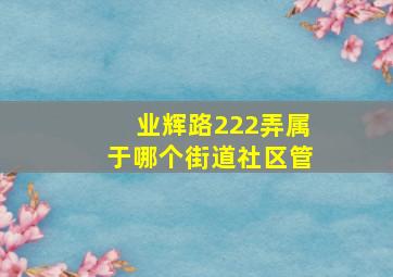 业辉路222弄属于哪个街道社区管