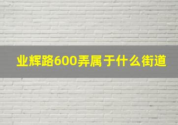 业辉路600弄属于什么街道