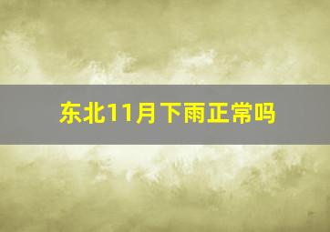 东北11月下雨正常吗