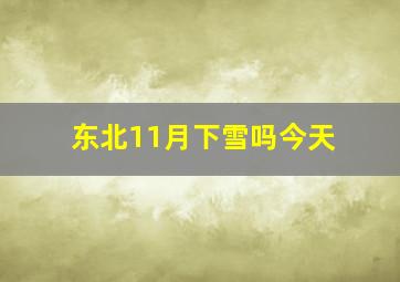 东北11月下雪吗今天