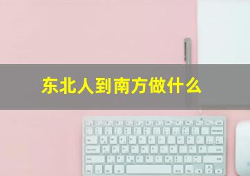 东北人到南方做什么