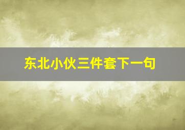 东北小伙三件套下一句