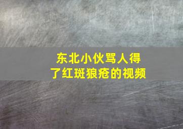 东北小伙骂人得了红斑狼疮的视频