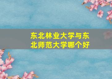 东北林业大学与东北师范大学哪个好