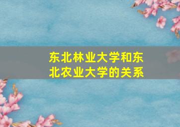 东北林业大学和东北农业大学的关系