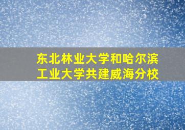 东北林业大学和哈尔滨工业大学共建威海分校