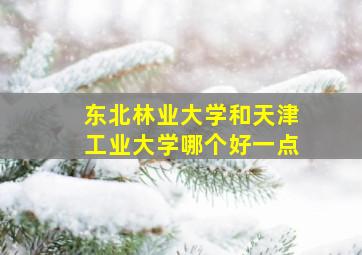 东北林业大学和天津工业大学哪个好一点