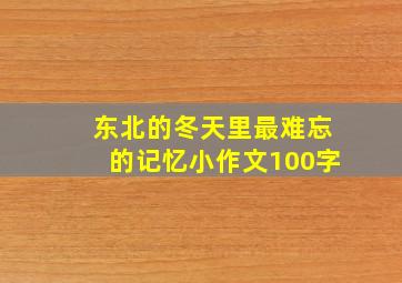 东北的冬天里最难忘的记忆小作文100字