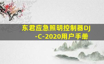 东君应急照明控制器DJ-C-2020用户手册