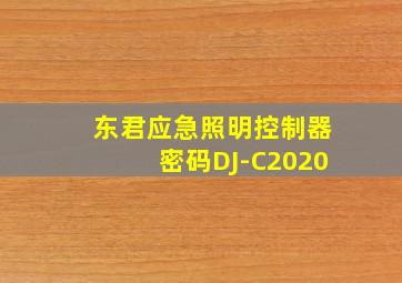 东君应急照明控制器密码DJ-C2020