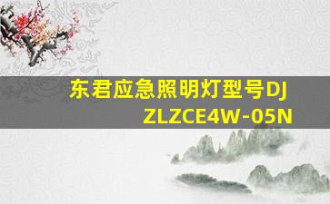 东君应急照明灯型号DJZLZCE4W-05N